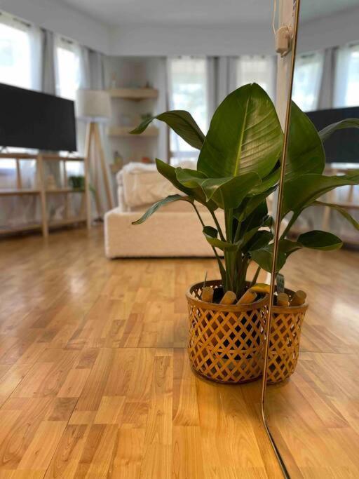 Trickett Street Hideaway Apartment Gold Coast Bagian luar foto
