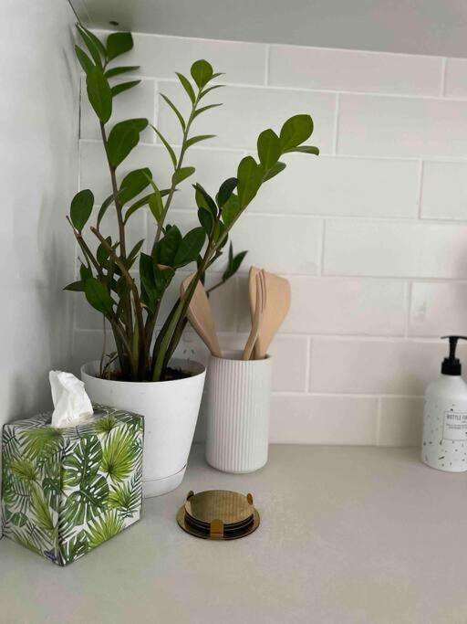 Trickett Street Hideaway Apartment Gold Coast Bagian luar foto